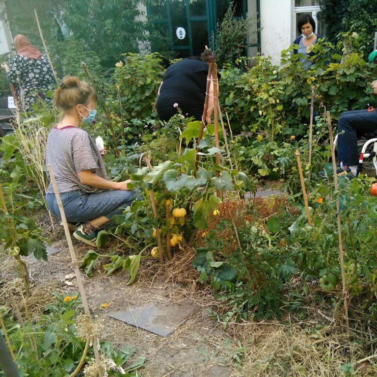 Jardin-ouvert1-e1755008151766-768x768