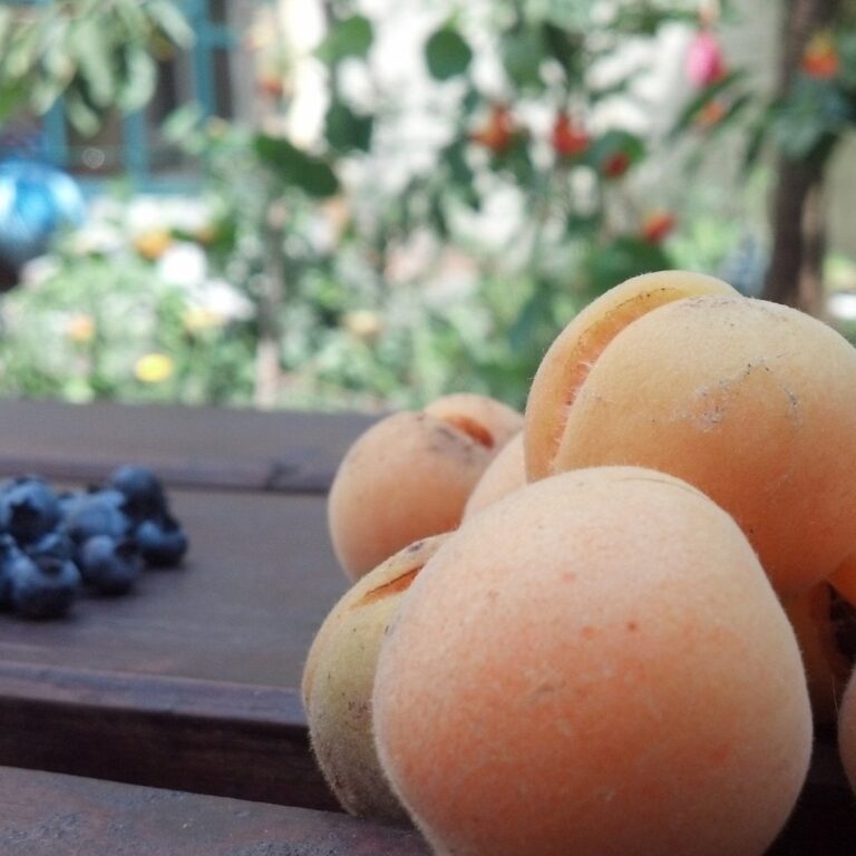 37511973_2179687872261311_7657875935139463168_o