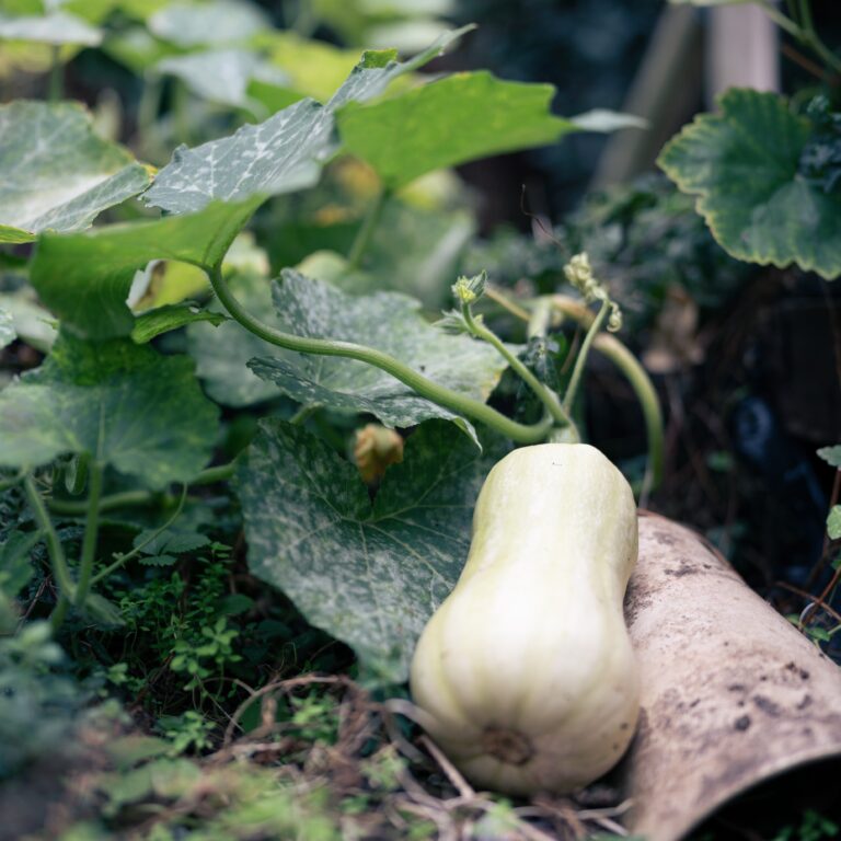 amazone journées féministes 2025-223