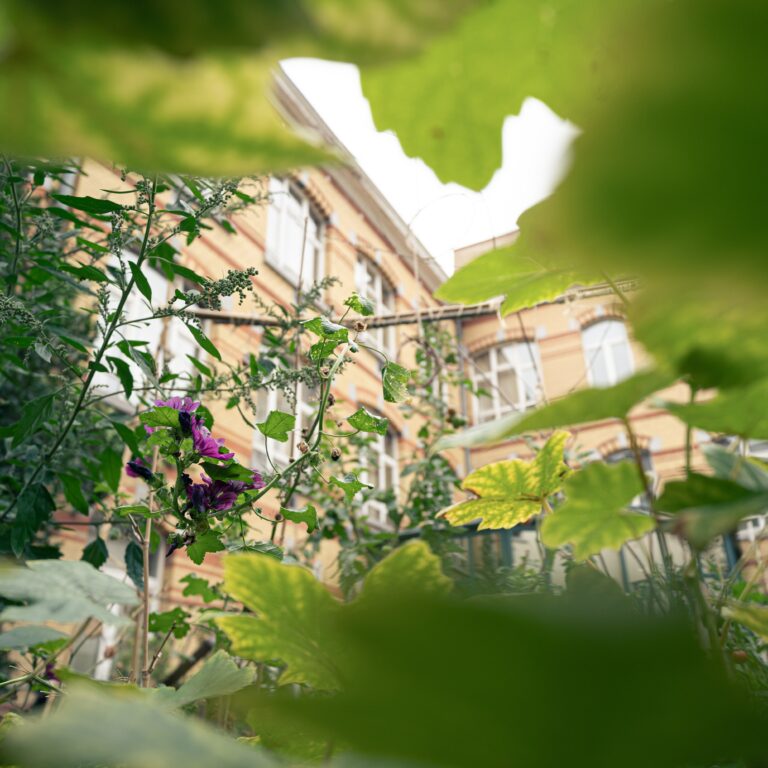 amazone journées féministes 2025-228