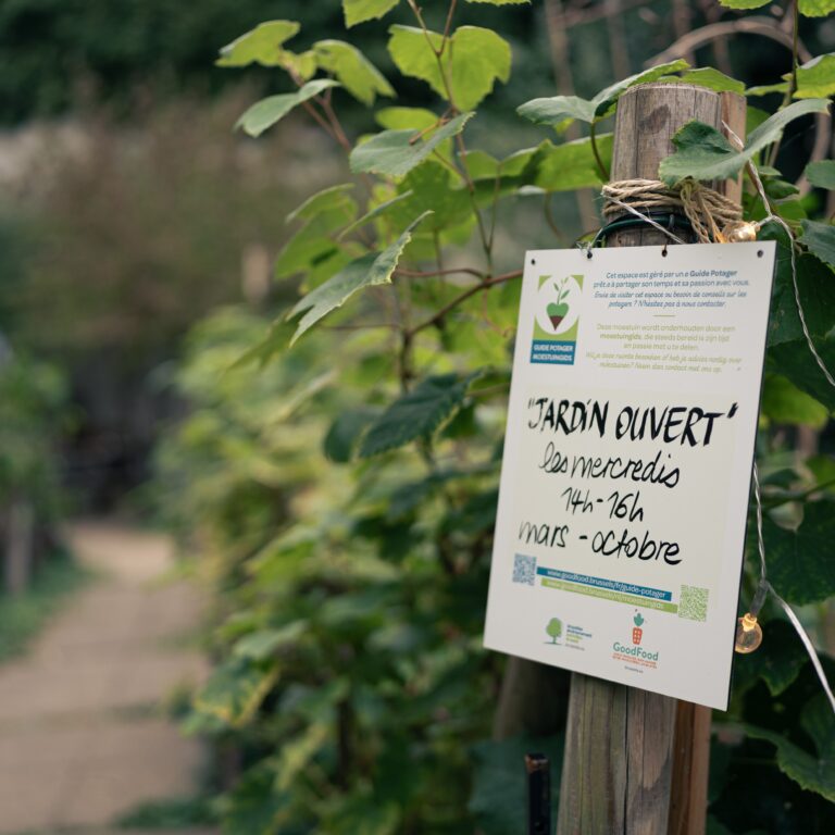 amazone journées féministes 2025-294